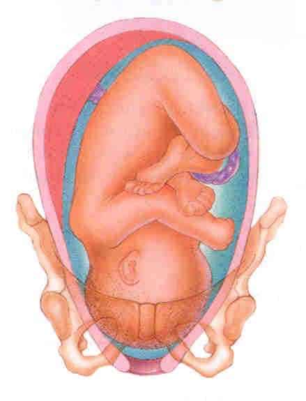 Prepared Childbirth Class: Night One