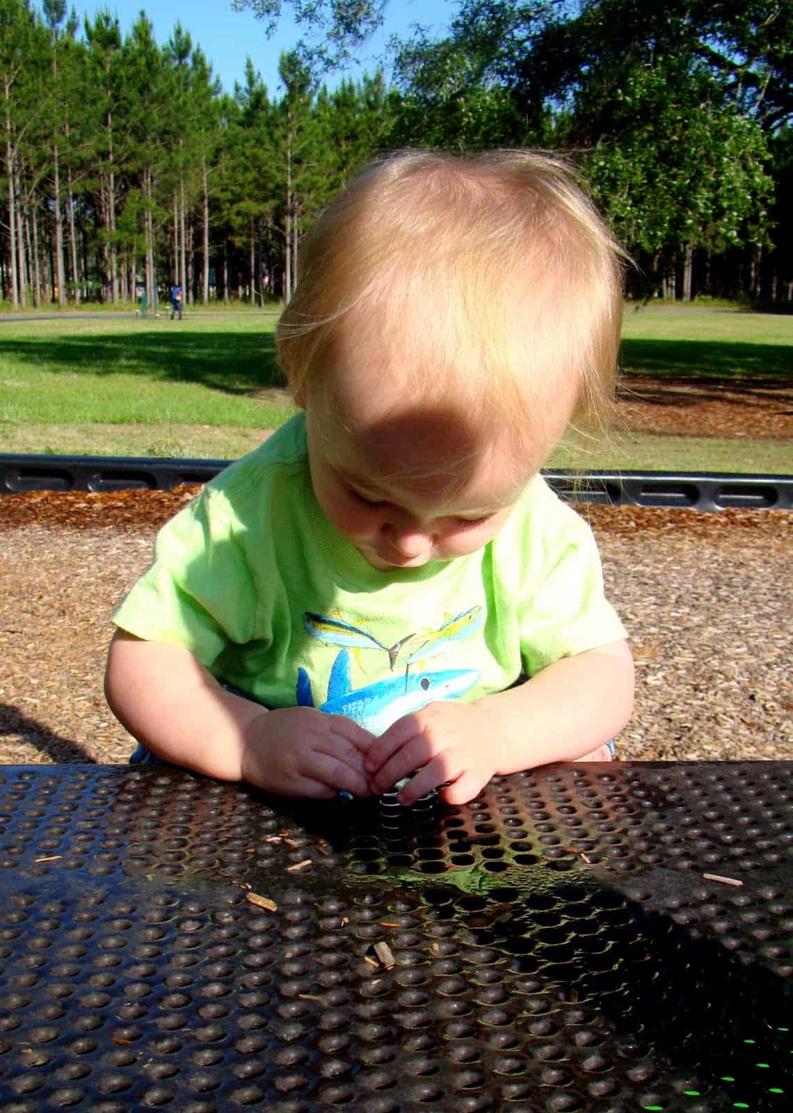 New Fun at the Park