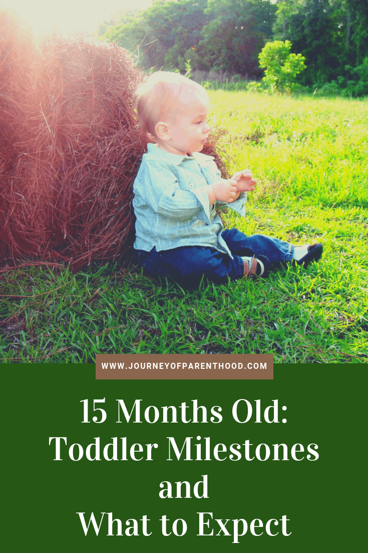 15 months old toddler milestones and what to expect