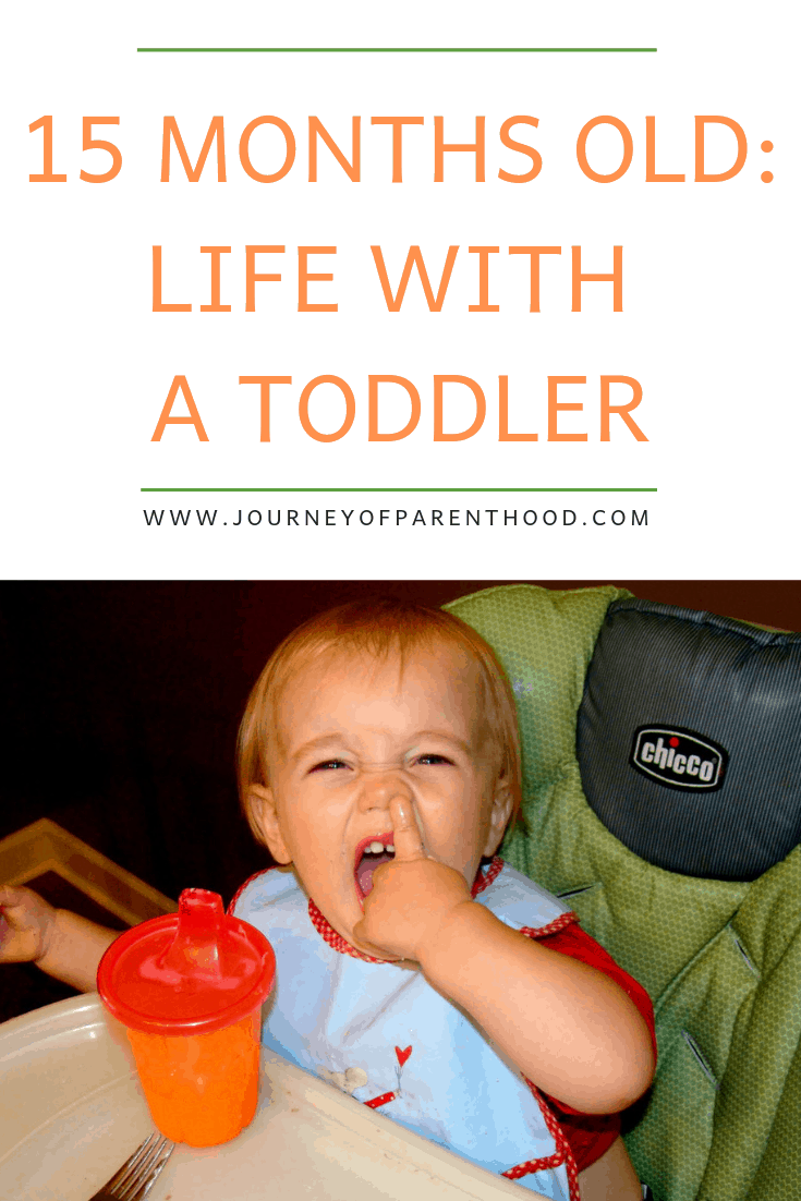 15 months old life with a toddler