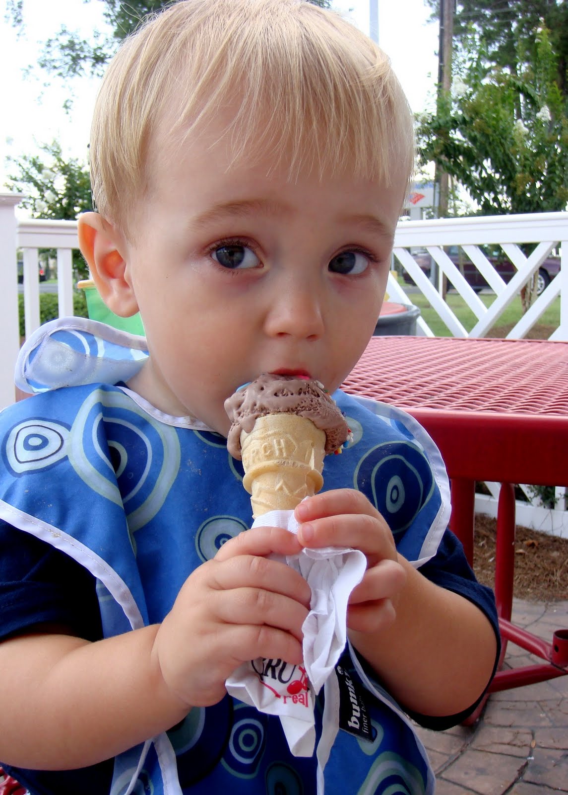 A Love for Ice Cream is Genetic