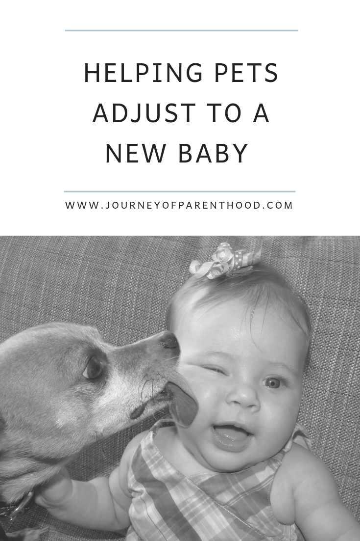 helping pets adjust to new baby