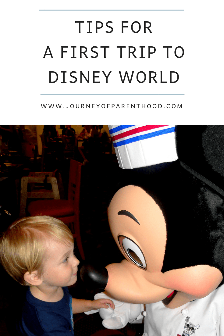 first trip tips for Disney World