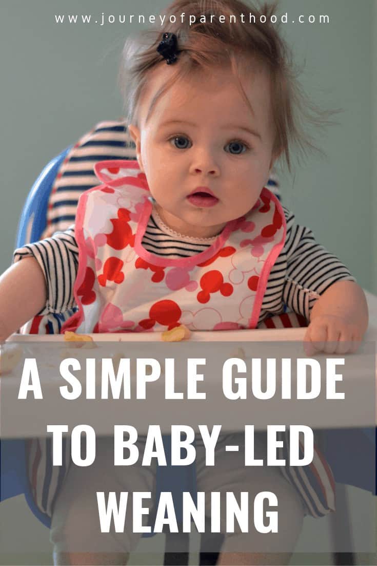 simple guide to baby led weaning