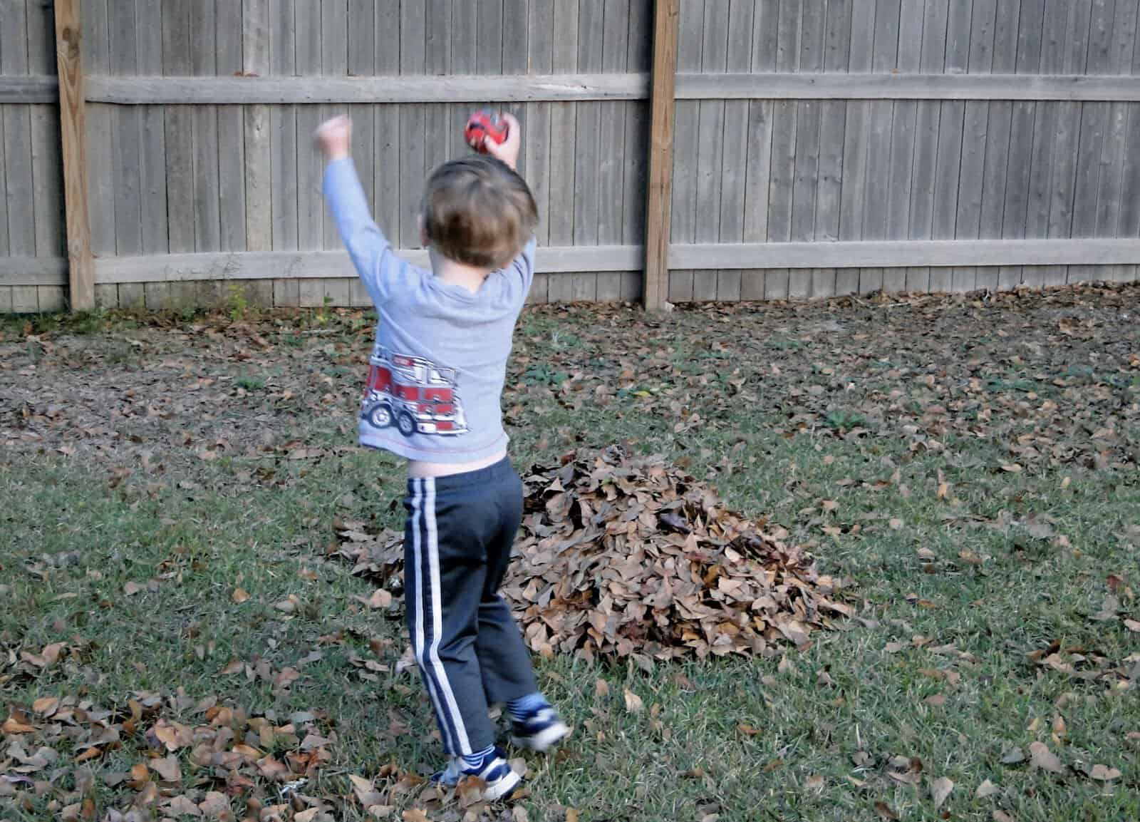 Playing in the Leaves