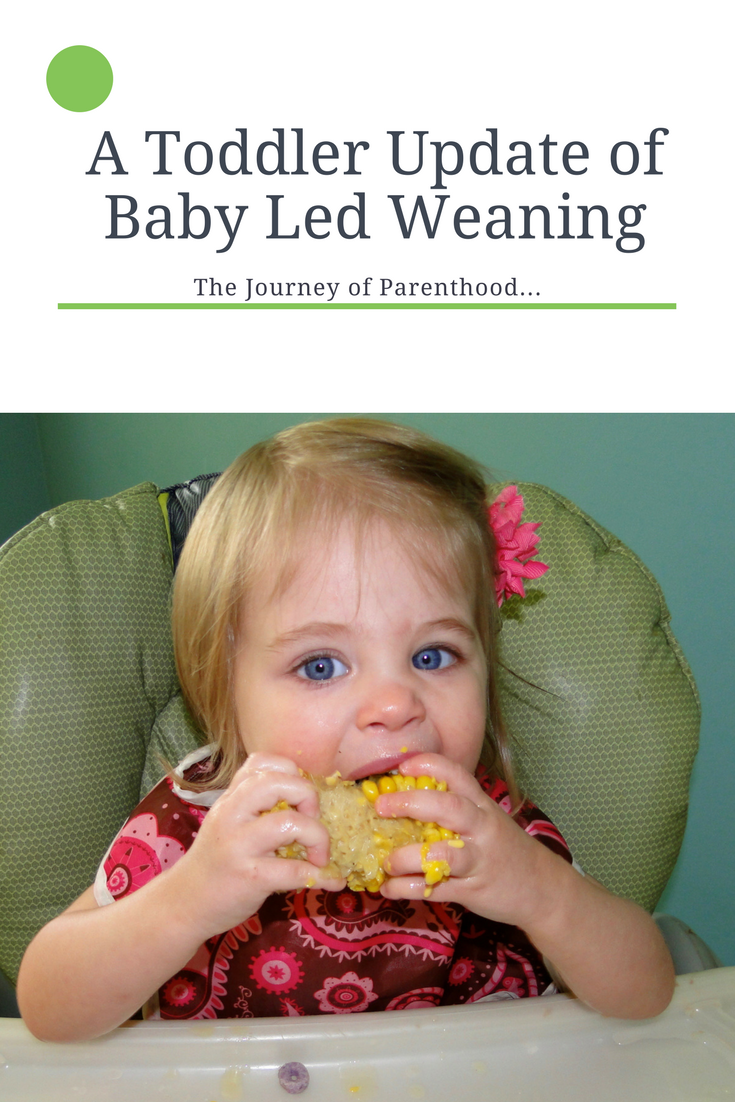 Baby Led Weaning Update