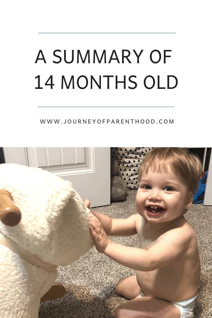 a summary of 14 months old