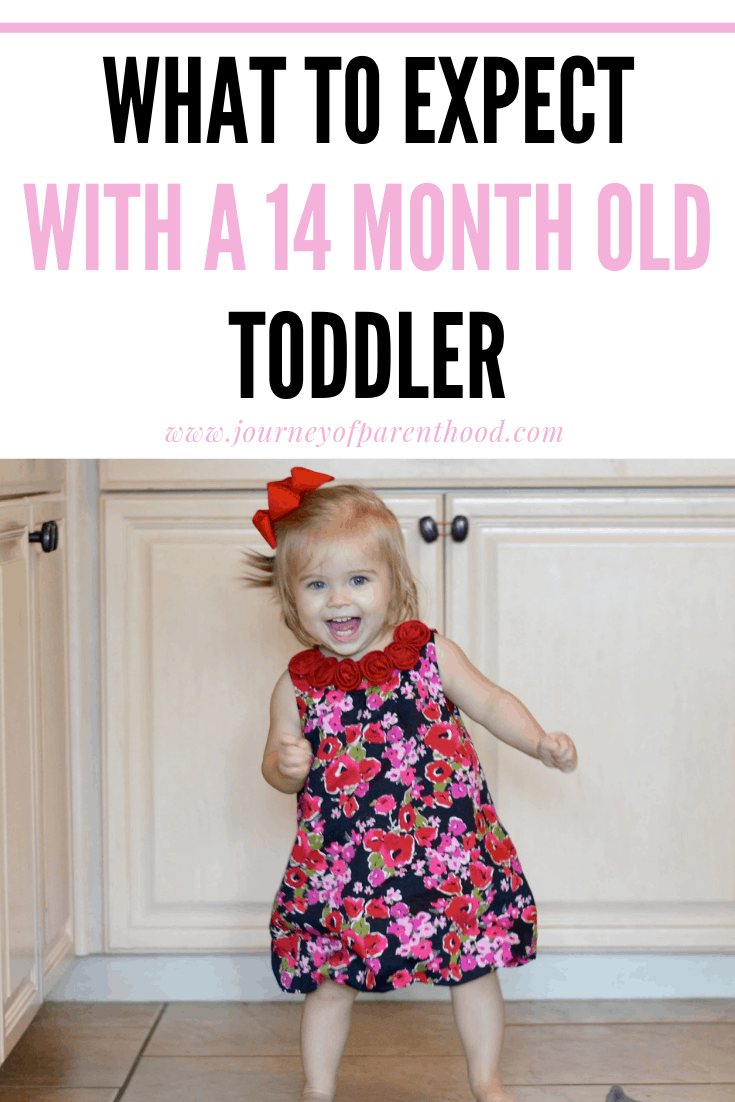 what to expect with a 14 month old toddler