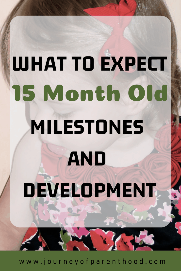 what to expect 15 months old milestones and development