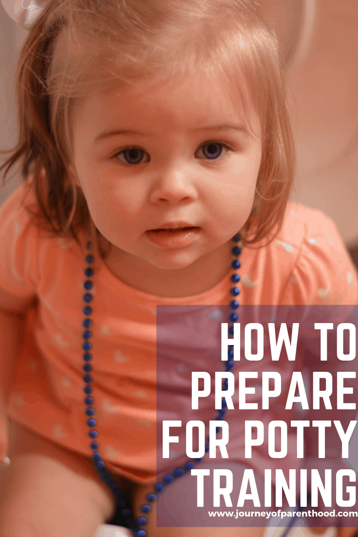 preparing for the potty