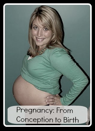 Pregnancy Posts: Baby #2
