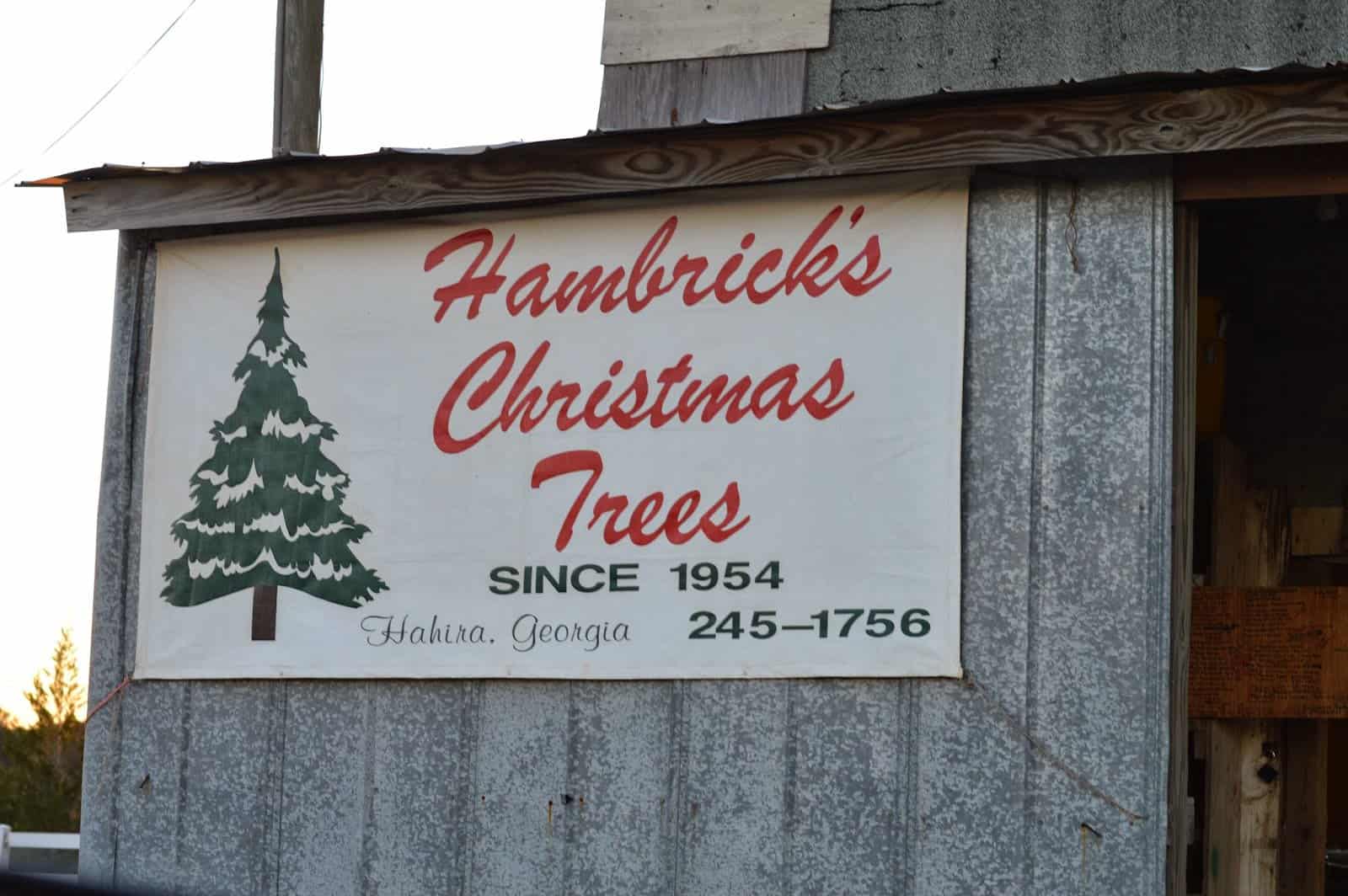 Hambrick’s Tree Farm 2013