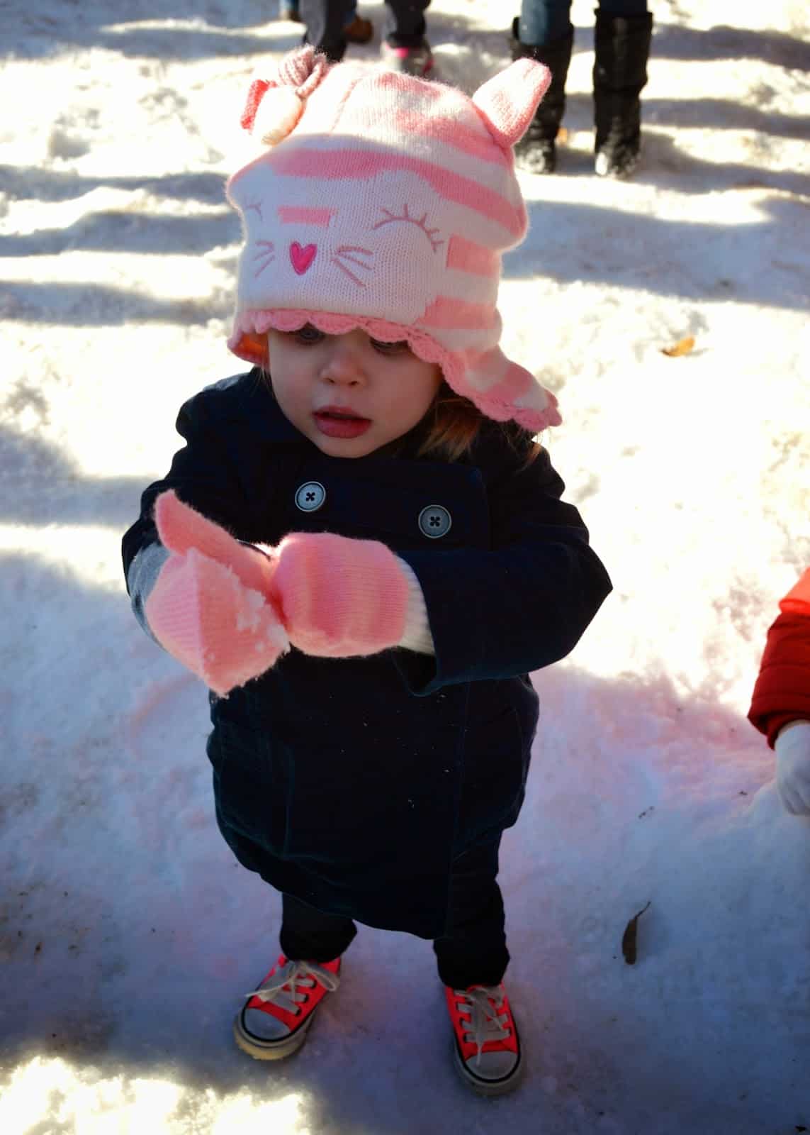 Playing in the Snow