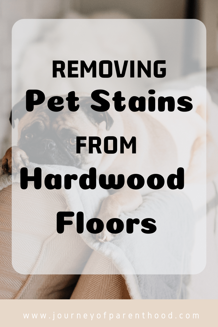 best way to get rid of dog smell removing pet stains from hardwood floors