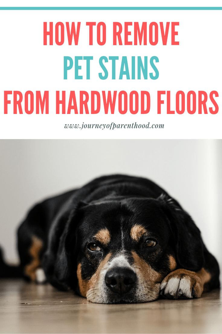 how to remove pet stains from hardwood floors