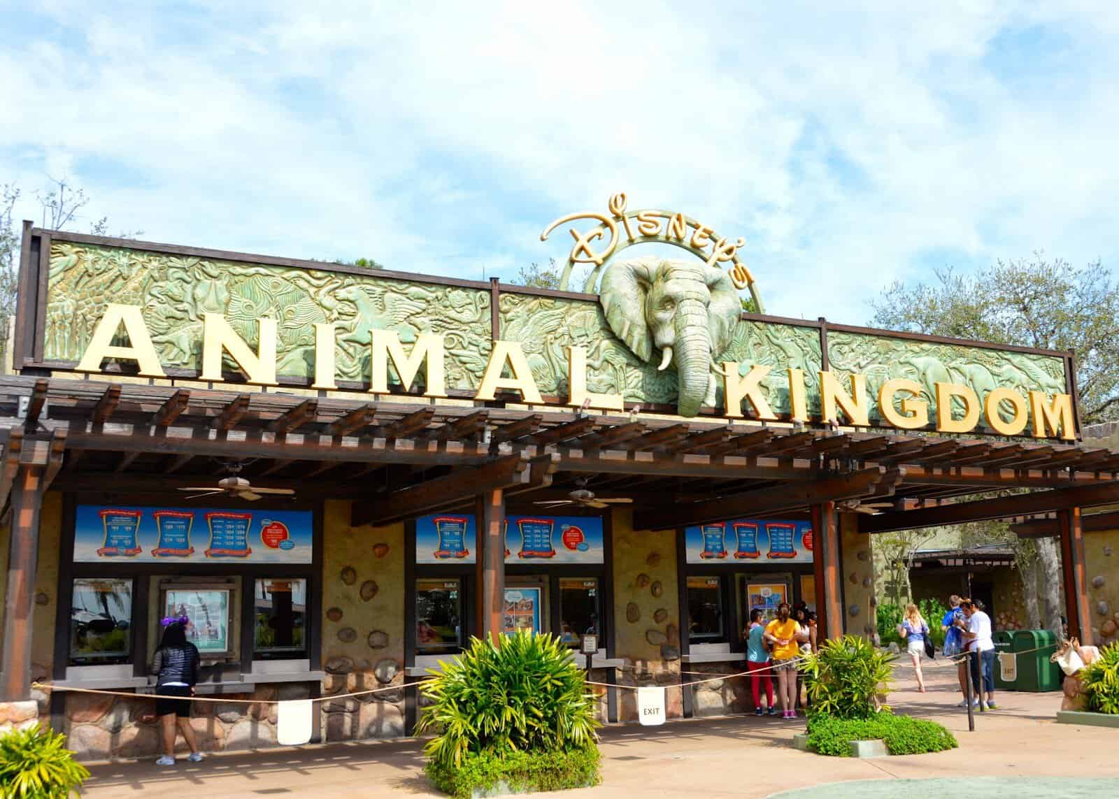 Animal Kingdom