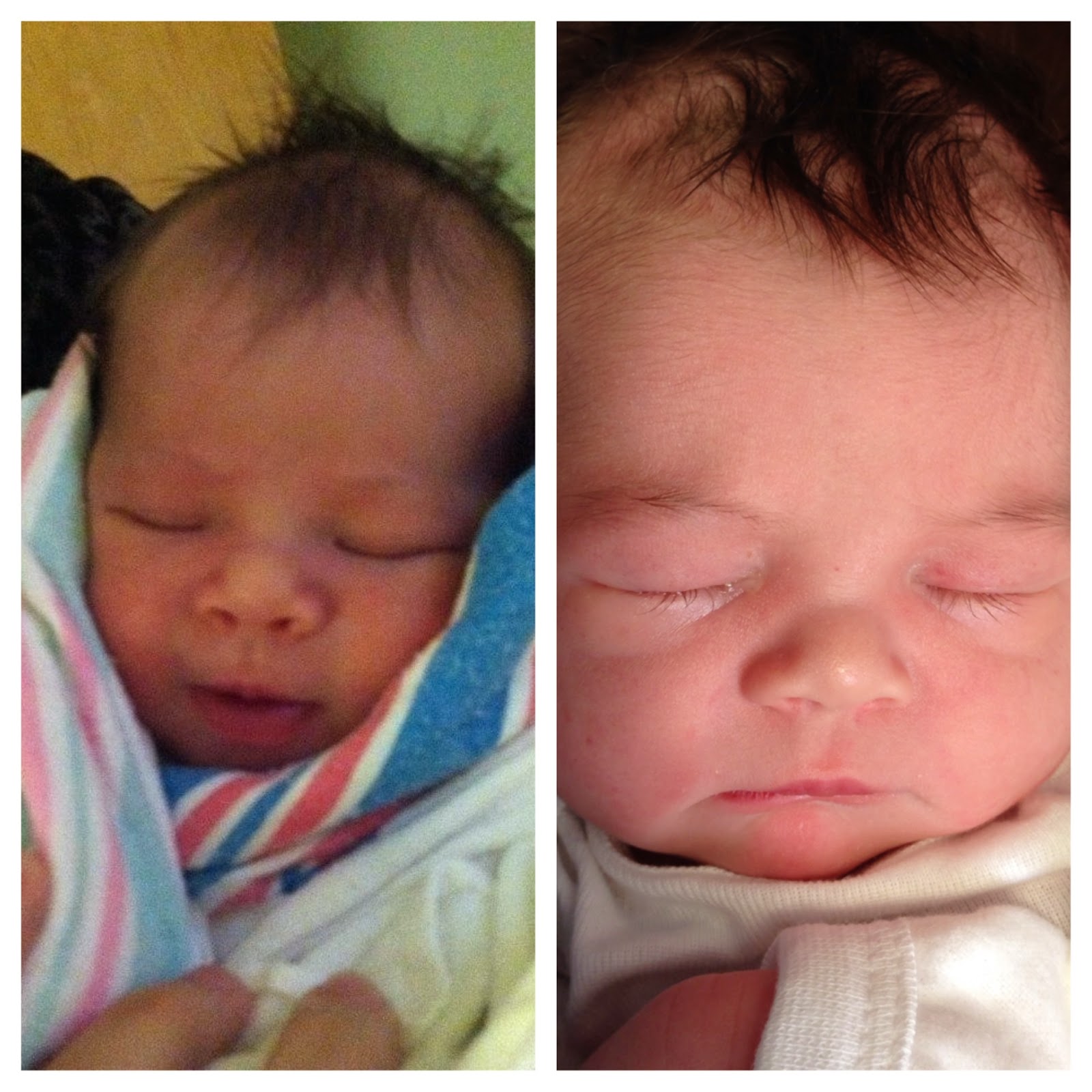 Baby Tess Comparison Photos