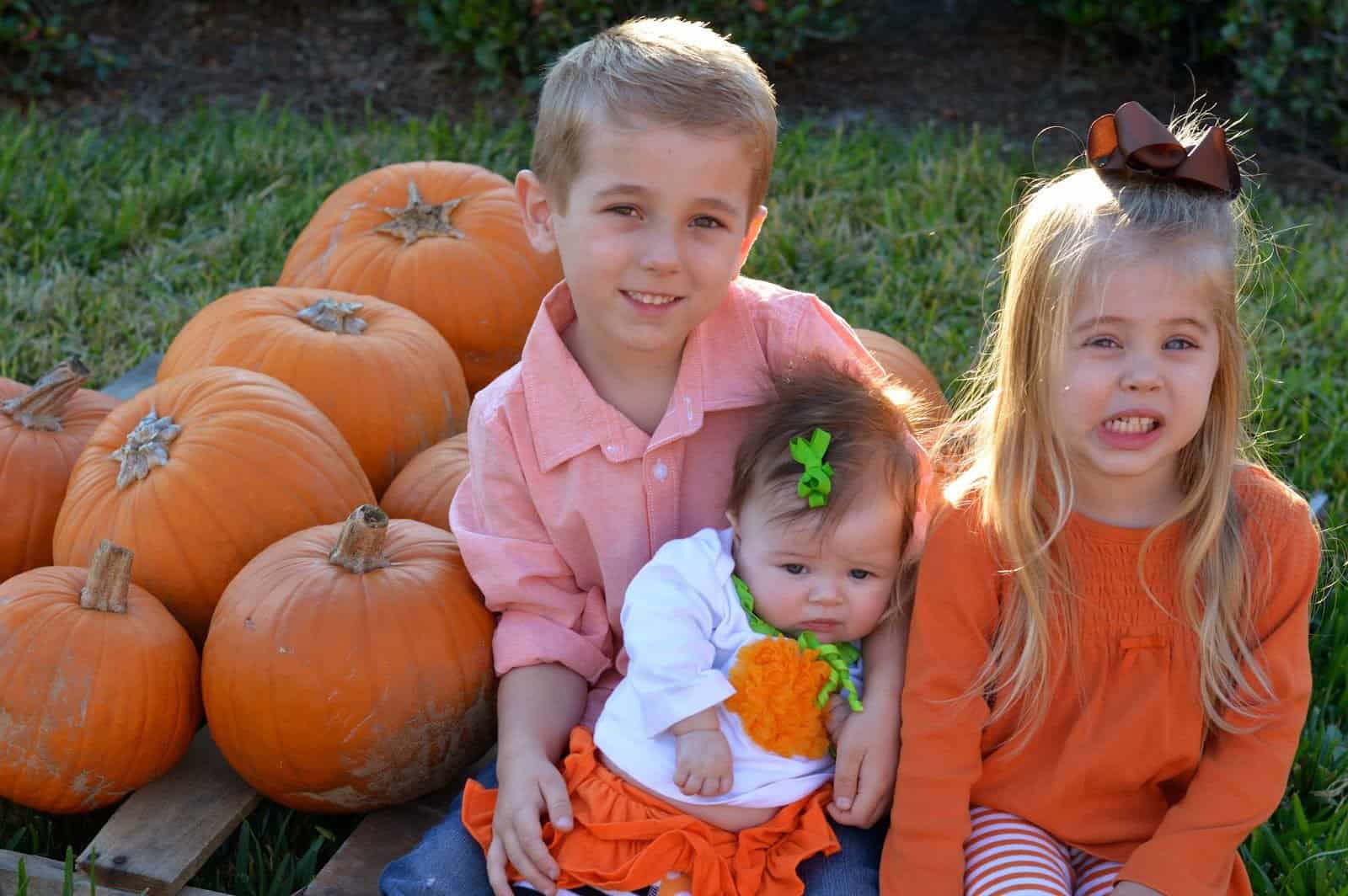 Pumpkin Patch 2014