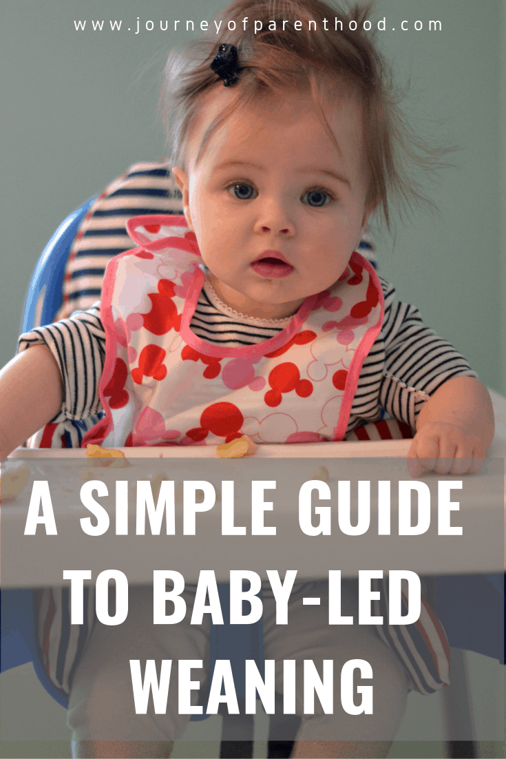 A Simple Guide to Baby-Led Weaning