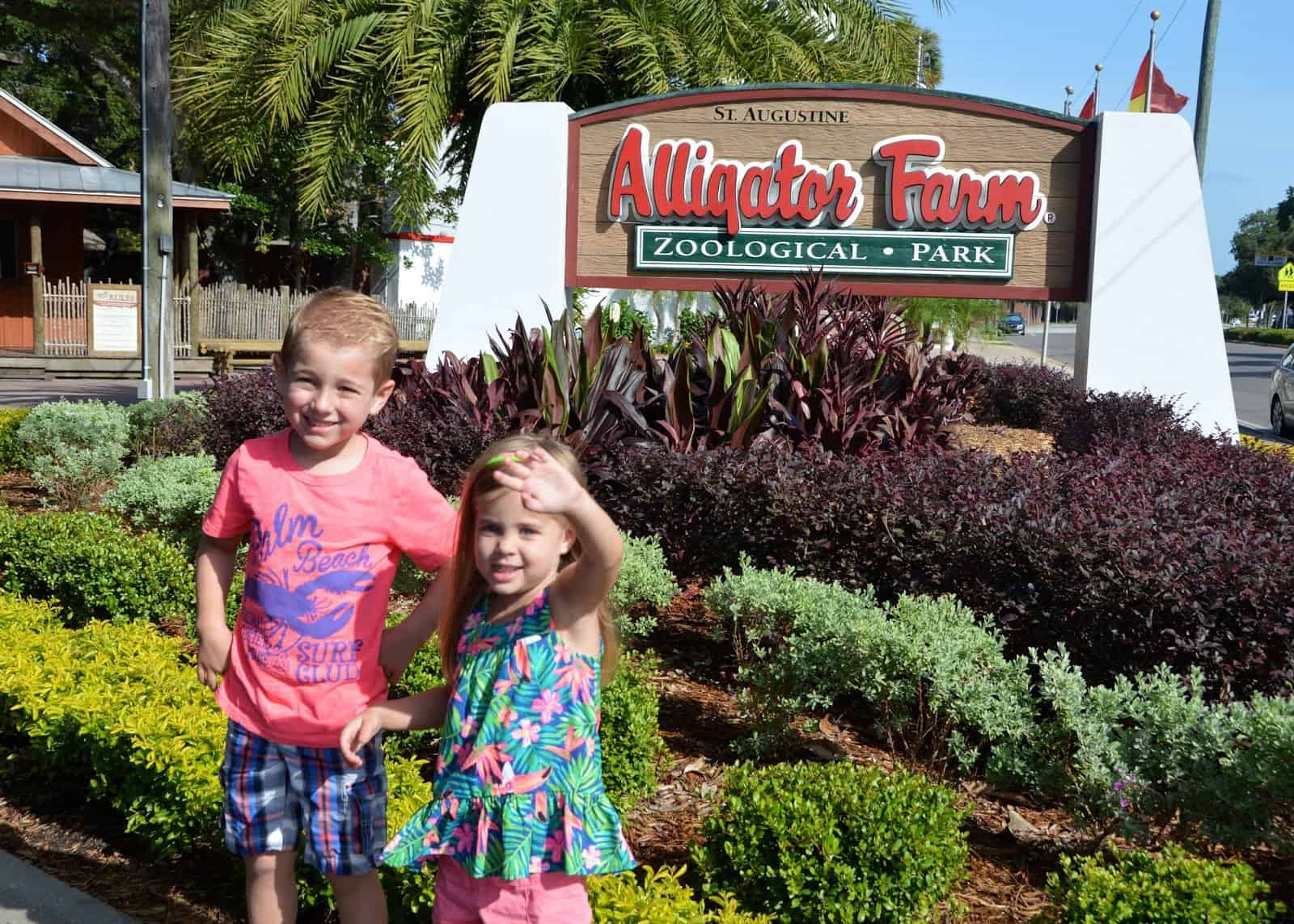 St Augustine Trip: Alligator Farm