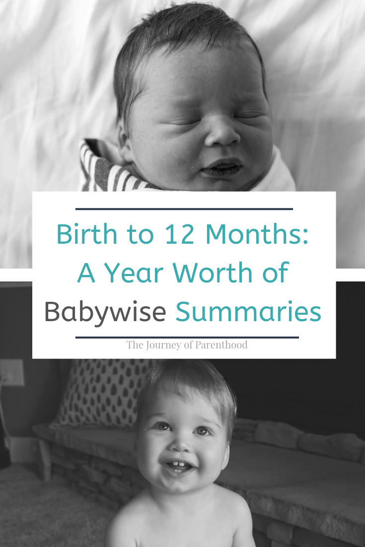 From Birth to 12 Months: A Year’s Worth of Summaries