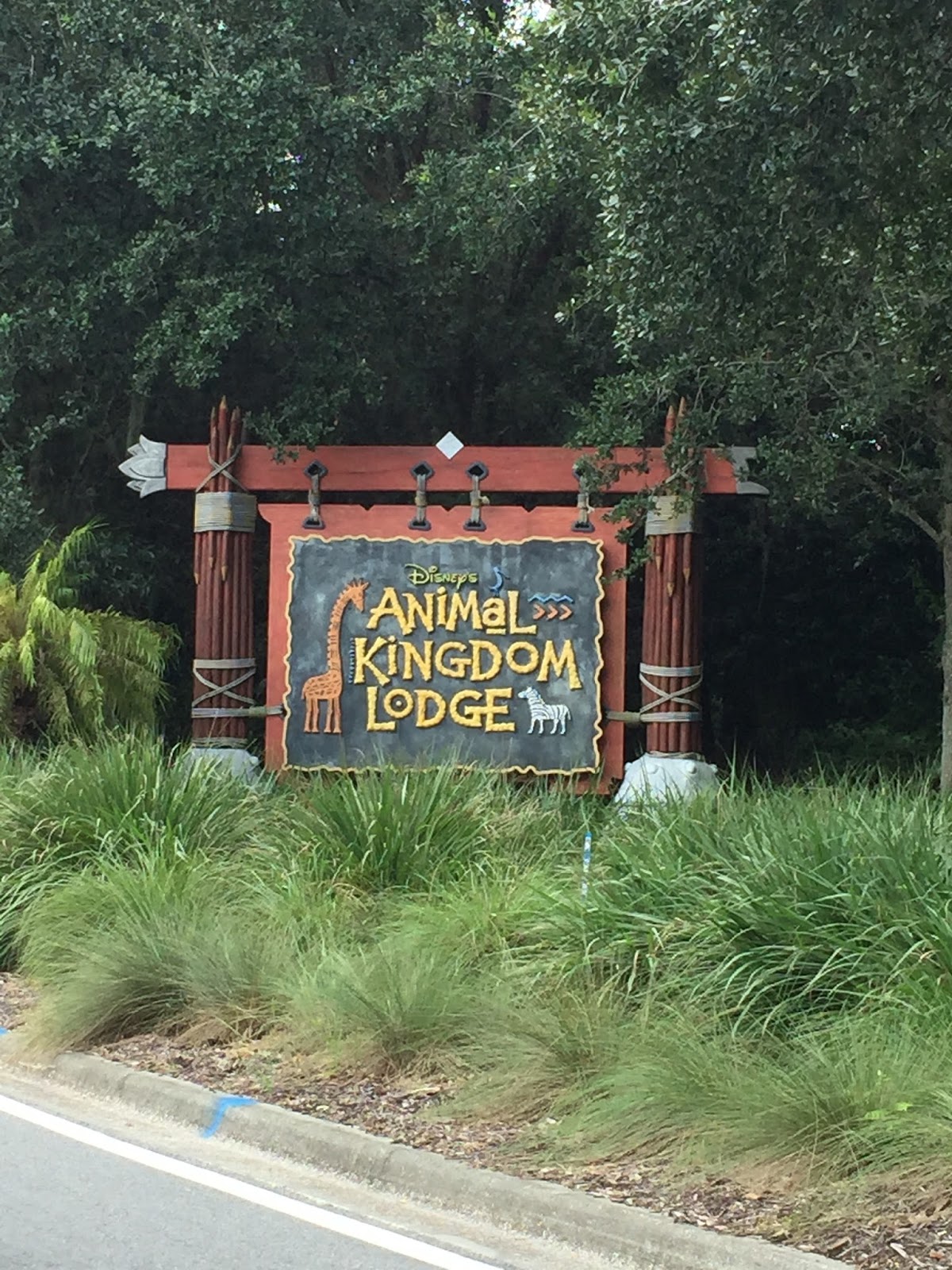 Visit to Animal Kingdom Lodge