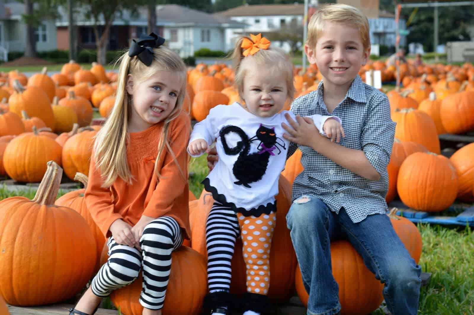 Pumpkin Patch 2015