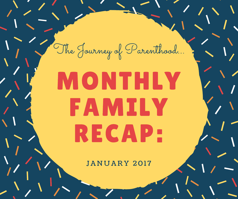 January 2017 Family Recap