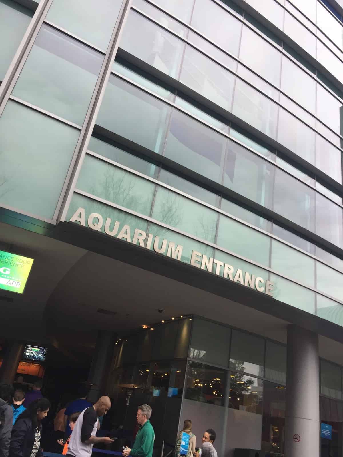 Family Day at Georgia Aquarium Feb 2017