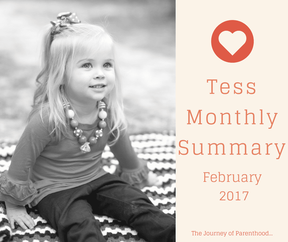 Tess Monthly Summary: February 2017