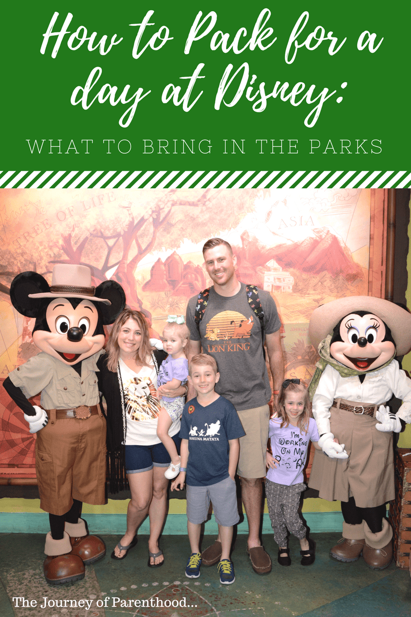 How to Pack for a day at Disney: What to Bring in the Parks