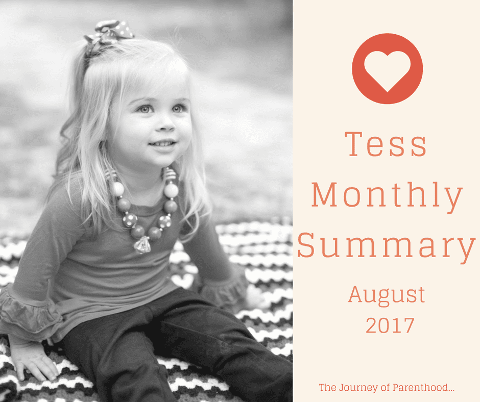 Tess Monthly Summary: August 2017