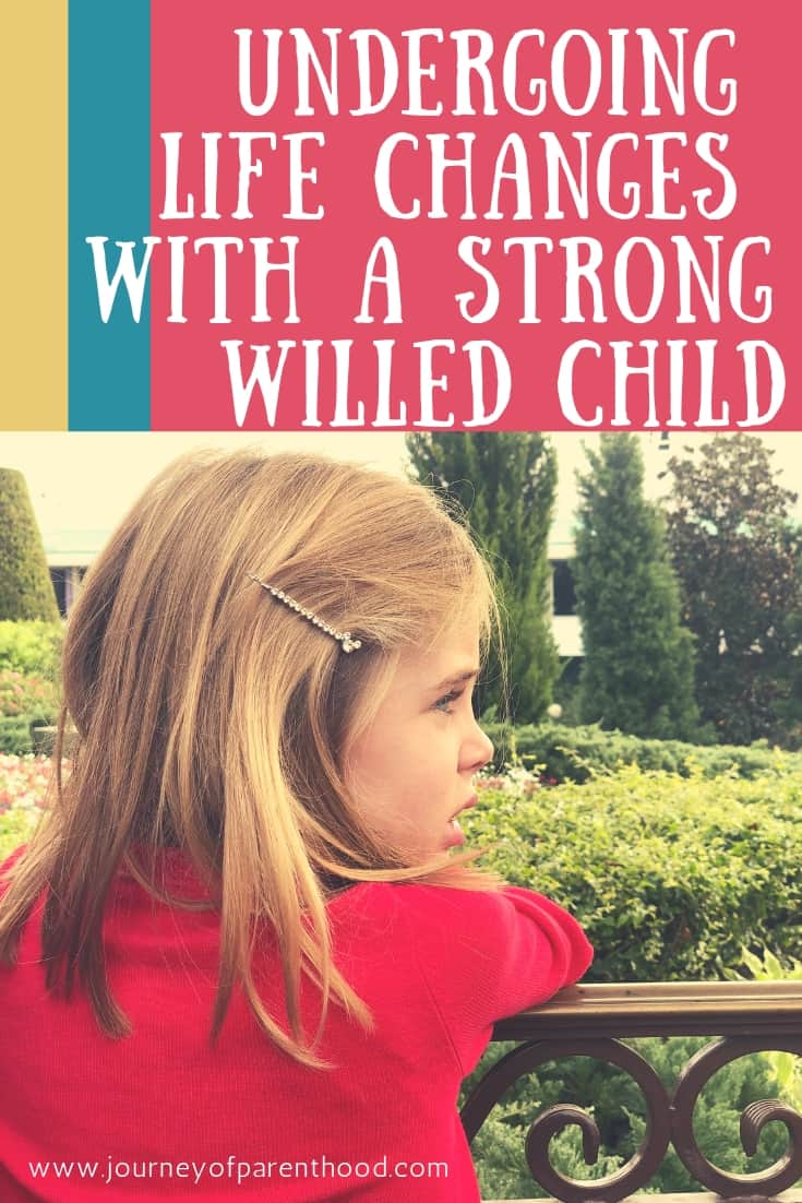 understanding life changes with a strong willed child