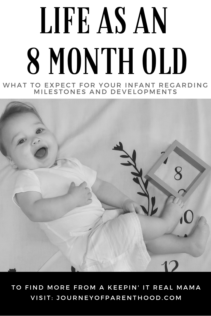 what to expect at 8 months old 