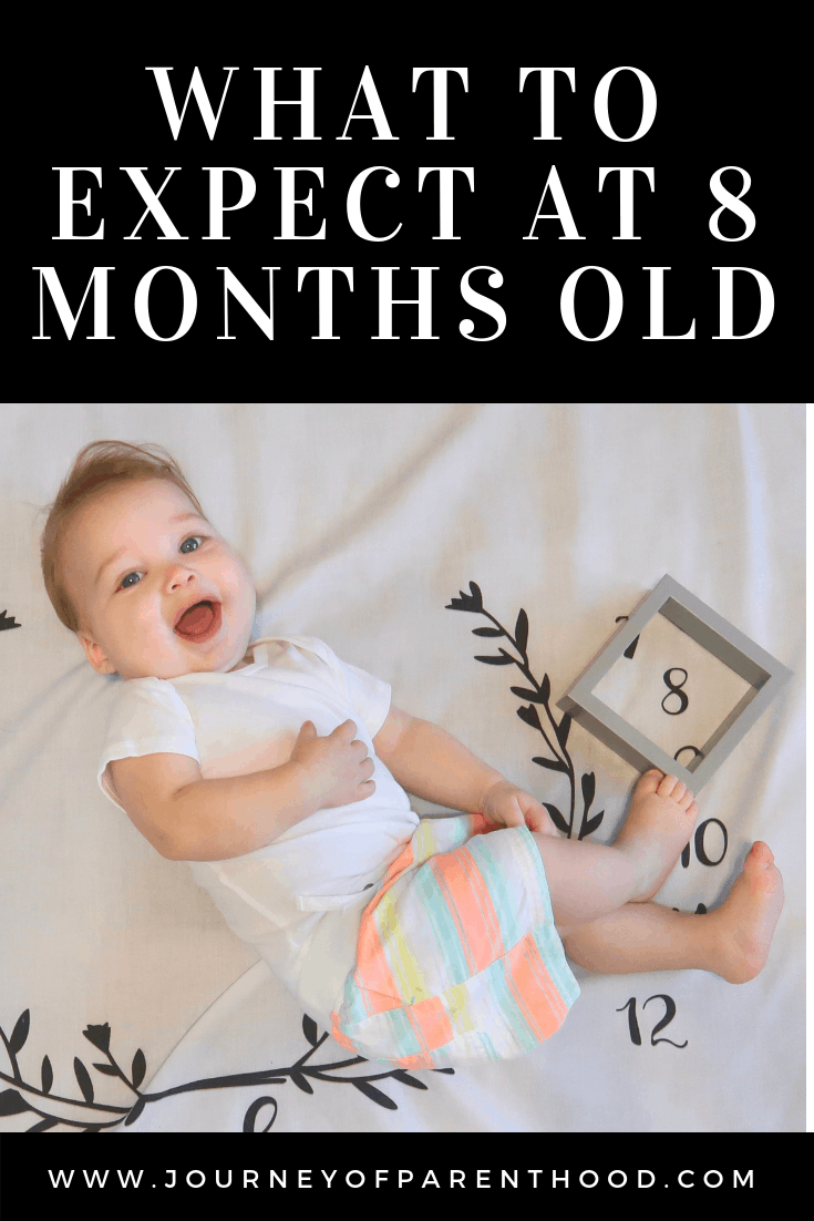 what to expect at 8 months old 