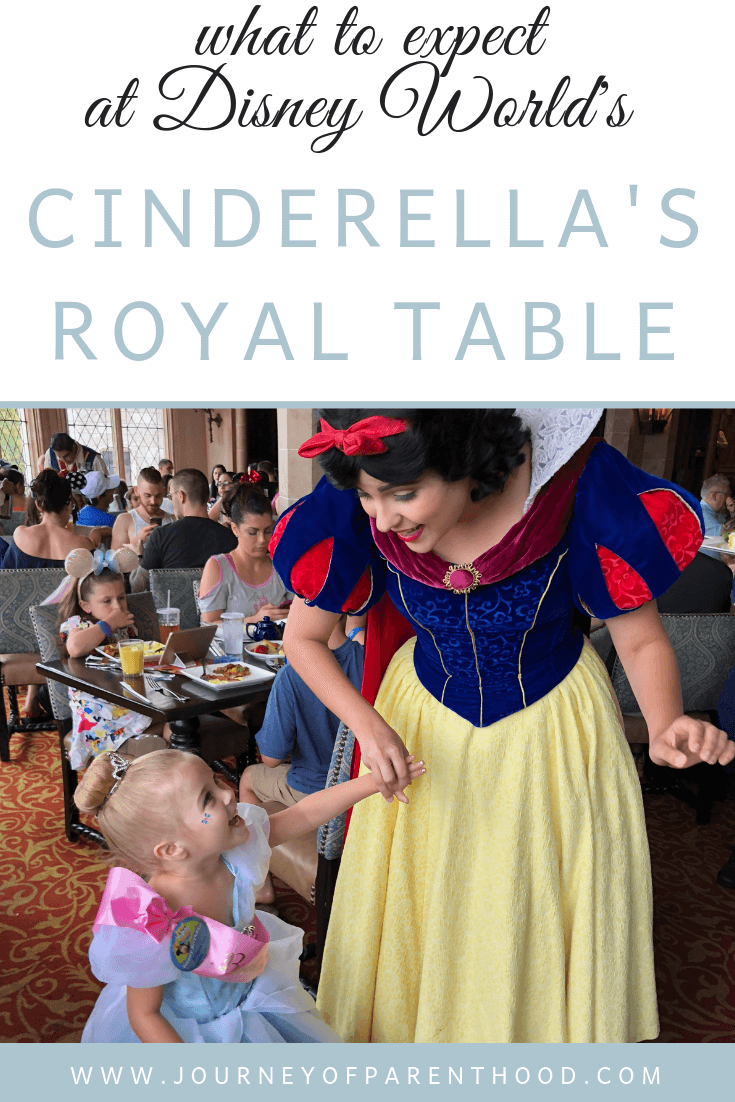 What to expect at Cinderella's Royal Table at Magic Kingdom in Disney World