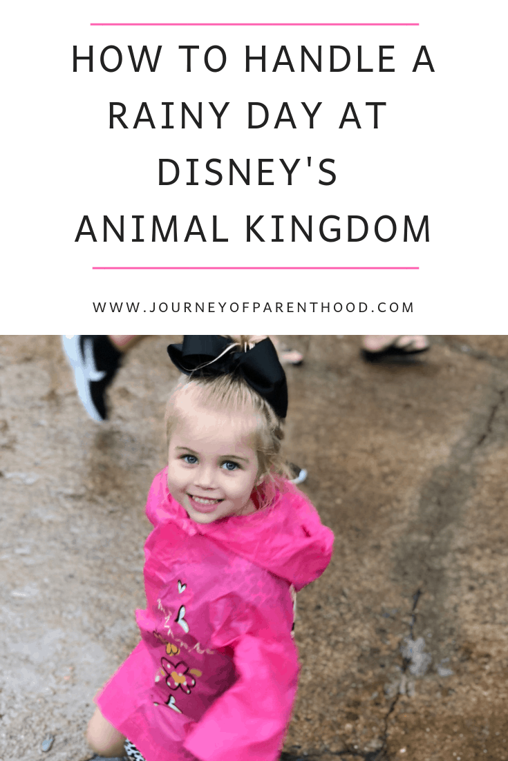 how to handle a rainy day at disney's animal kingdom