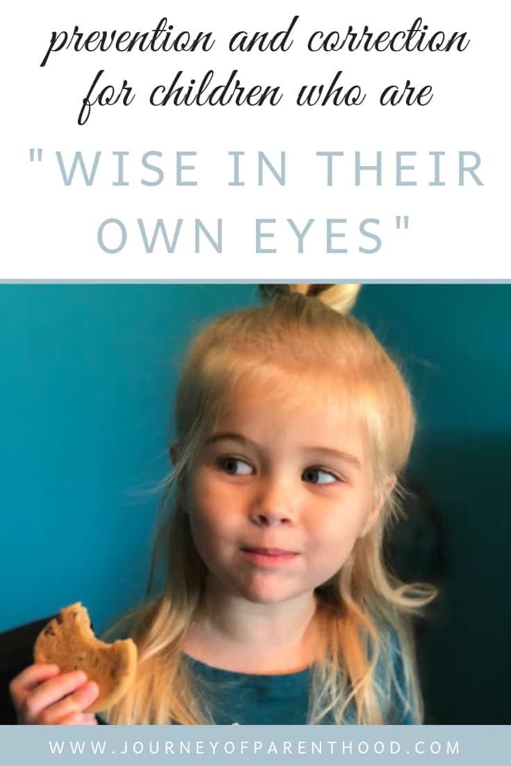 prevention and correction for when children are wise in their own eyes