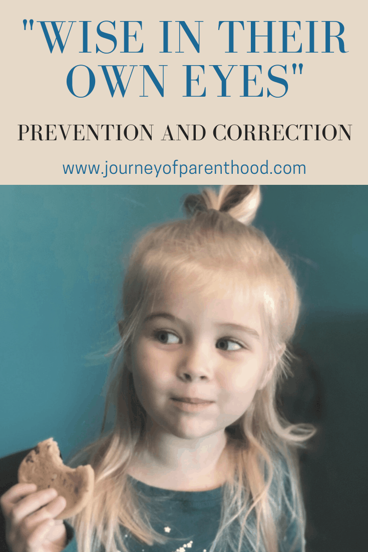 Wise in Their Own Eyes – Prevention and Correction