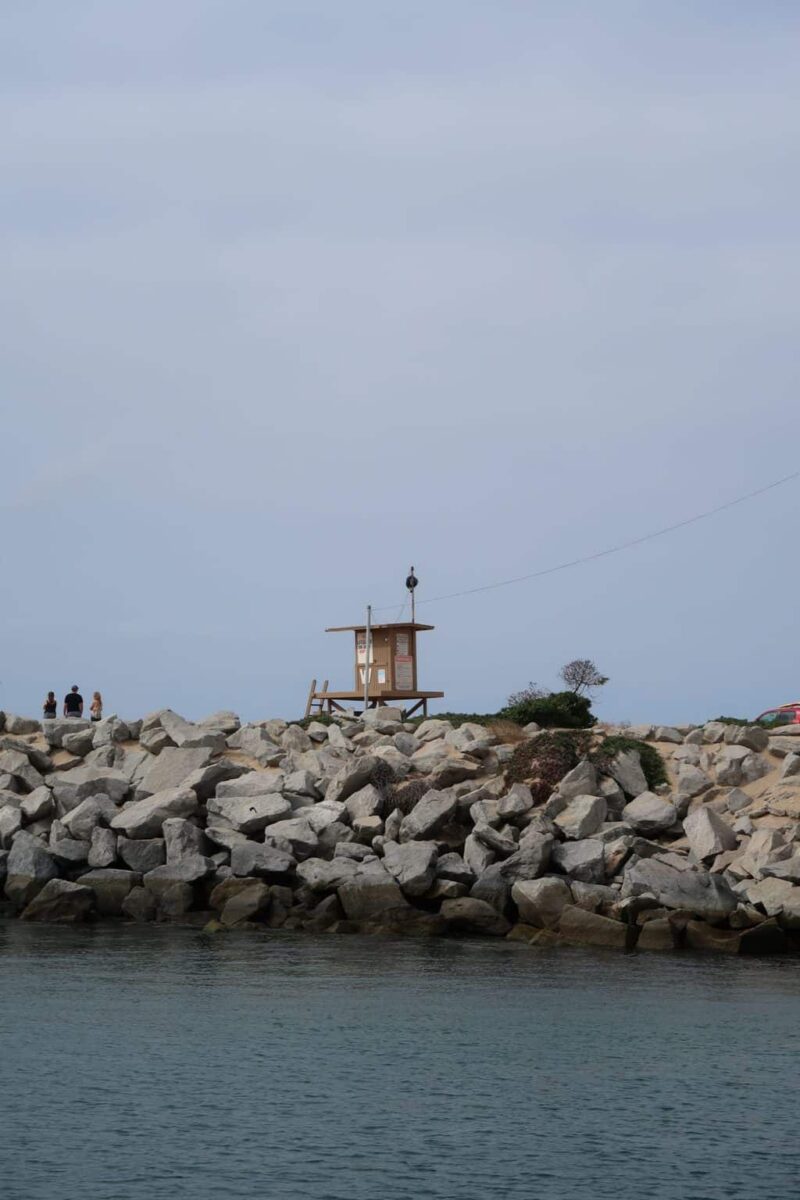 Whale Watching Newport Beach - A trip for the elderly...