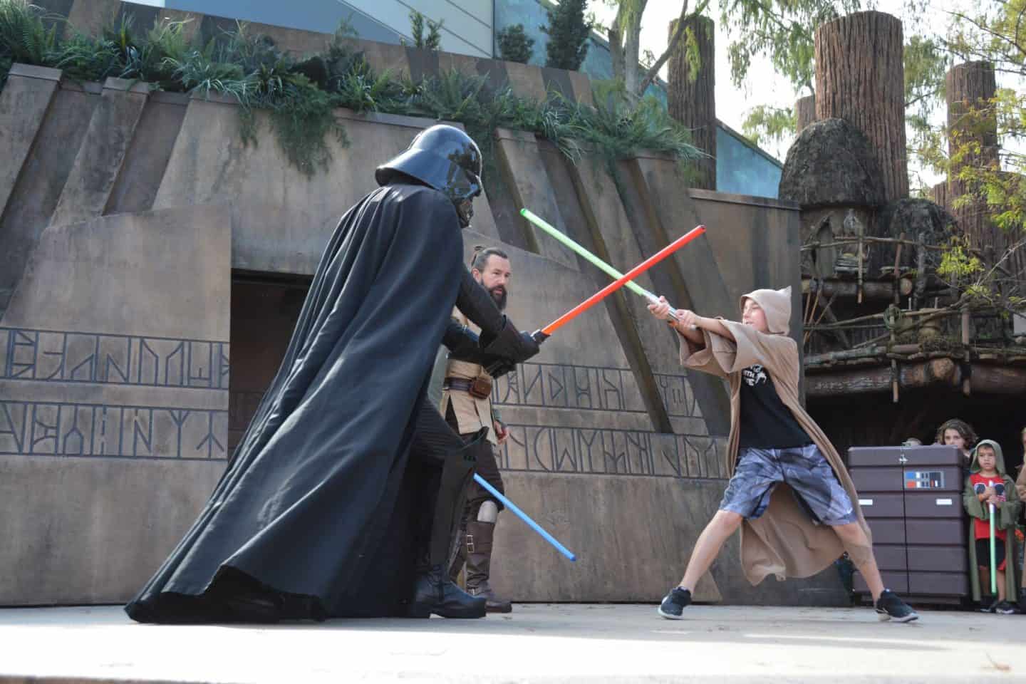 boy battling Darth vader  must see disney movies before first visit