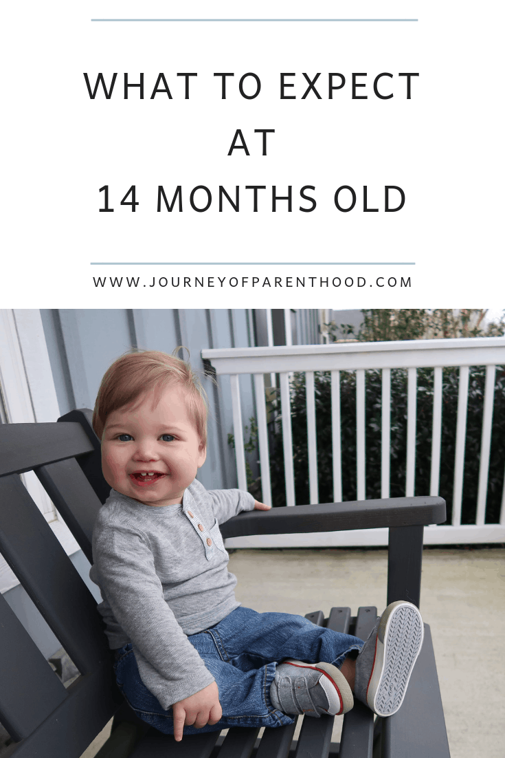 14 months old