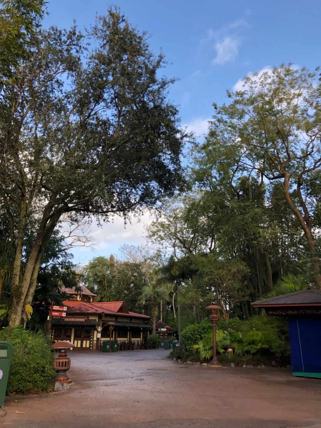 MLK Disney 2019: AK Morning and Epcot