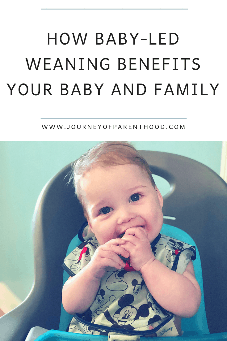 baby led weaning benefits for baby and family