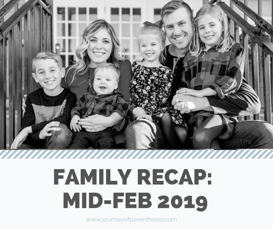 Mid Month Recap: February 2019