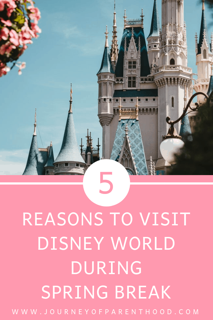 5 reasons to visit Disney World during spring break