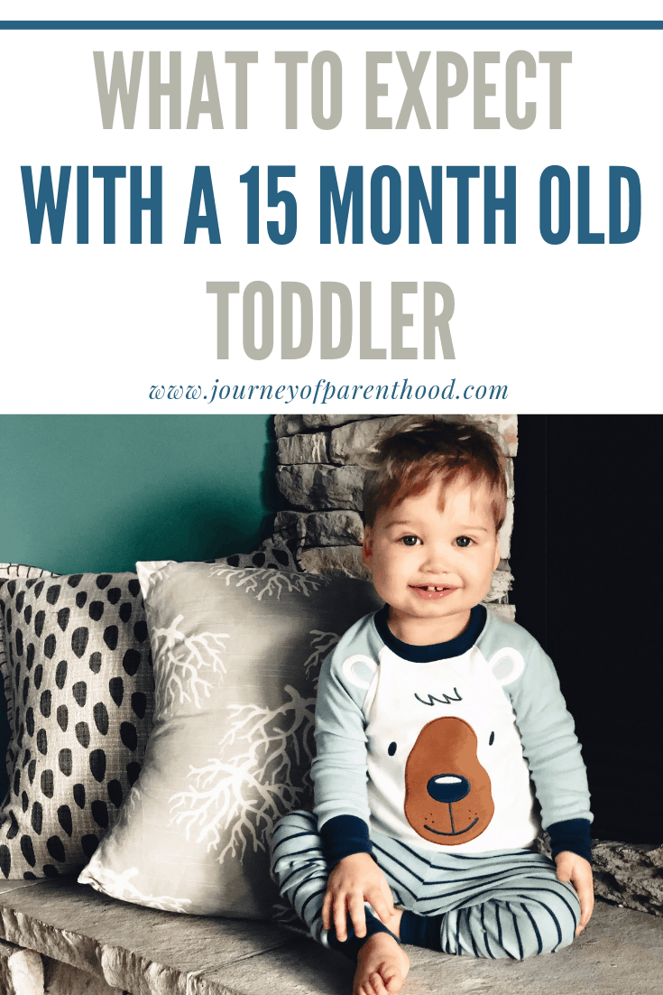 what to expect with a 15 month old toddler