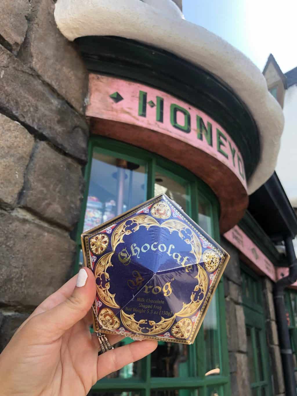 first time at universal studios orlando the wizarding world of harry potter chocolate frog