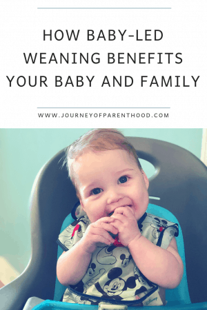 How Baby-Led Weaning Benefits Your Baby and Family