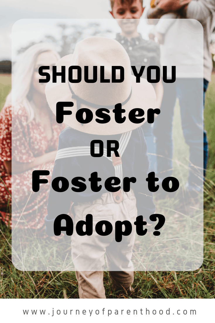 should you foster or foster to adopt?